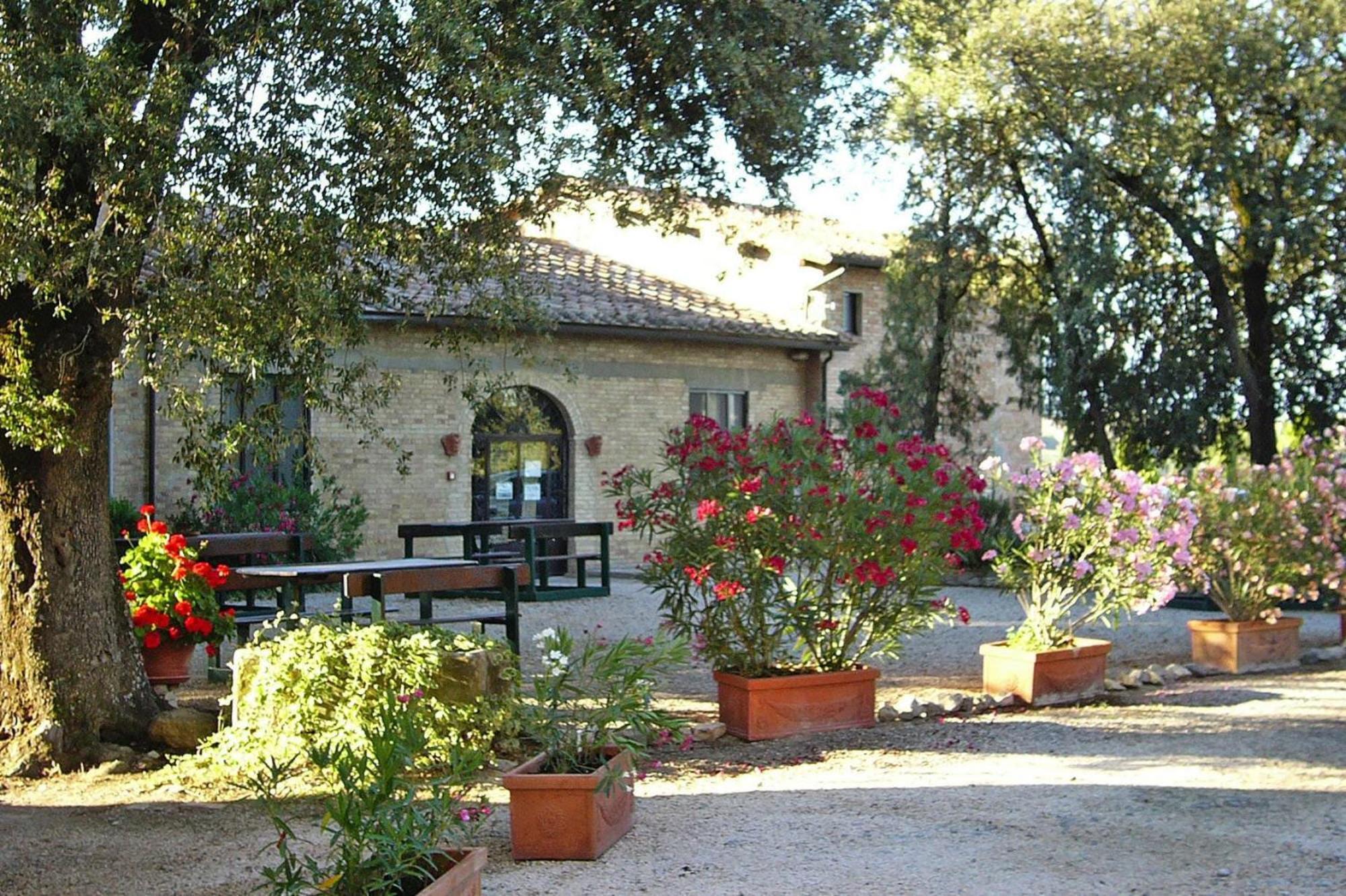 Fattoria Bio Pieve A Salti Montalcino Leilighet Eksteriør bilde